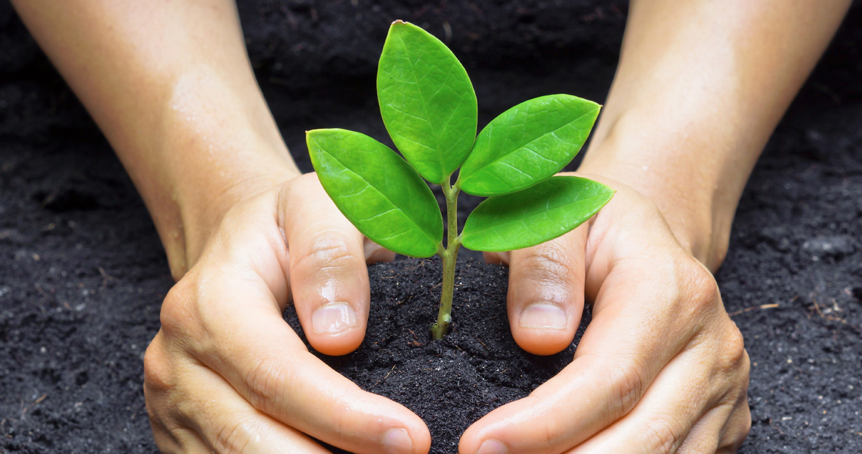 Social Responsibility