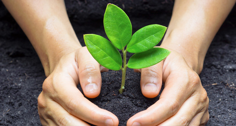 Corporate Social Responsibility