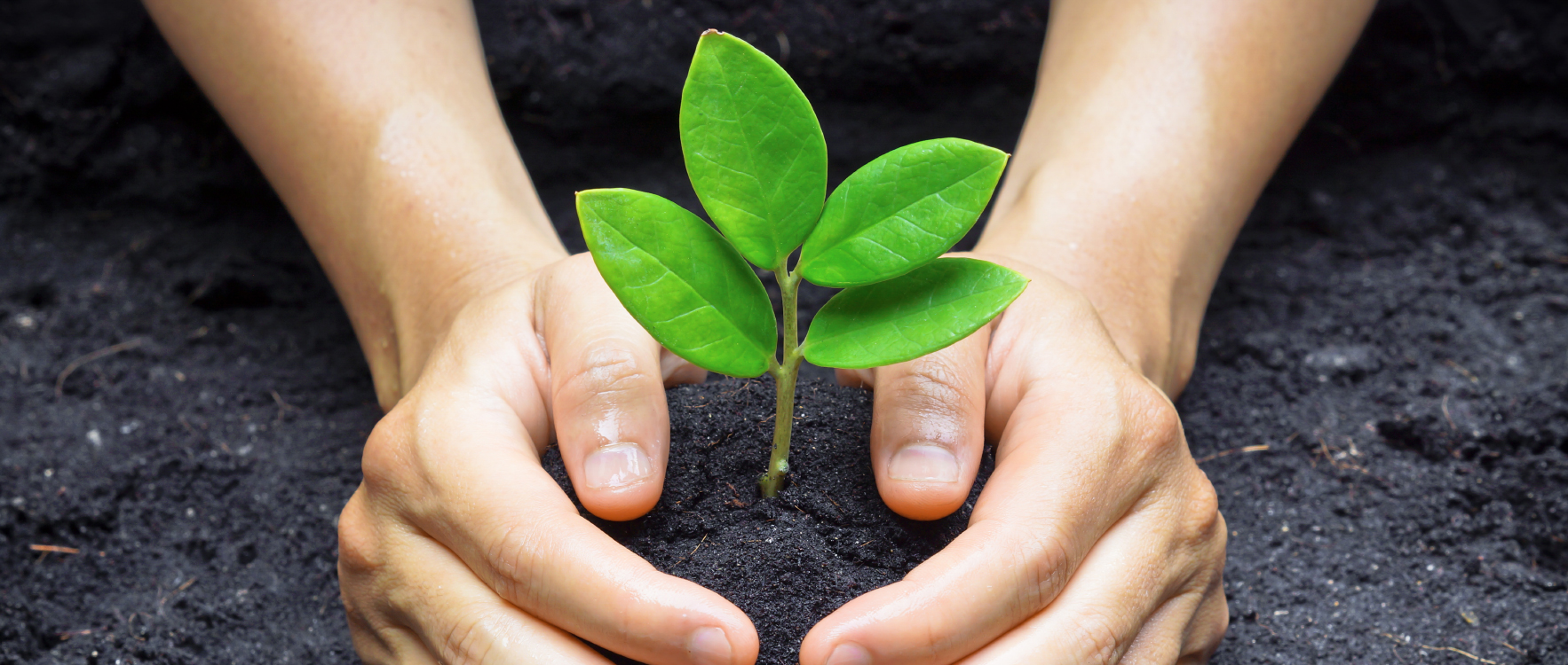 Corporate Social Responsibility