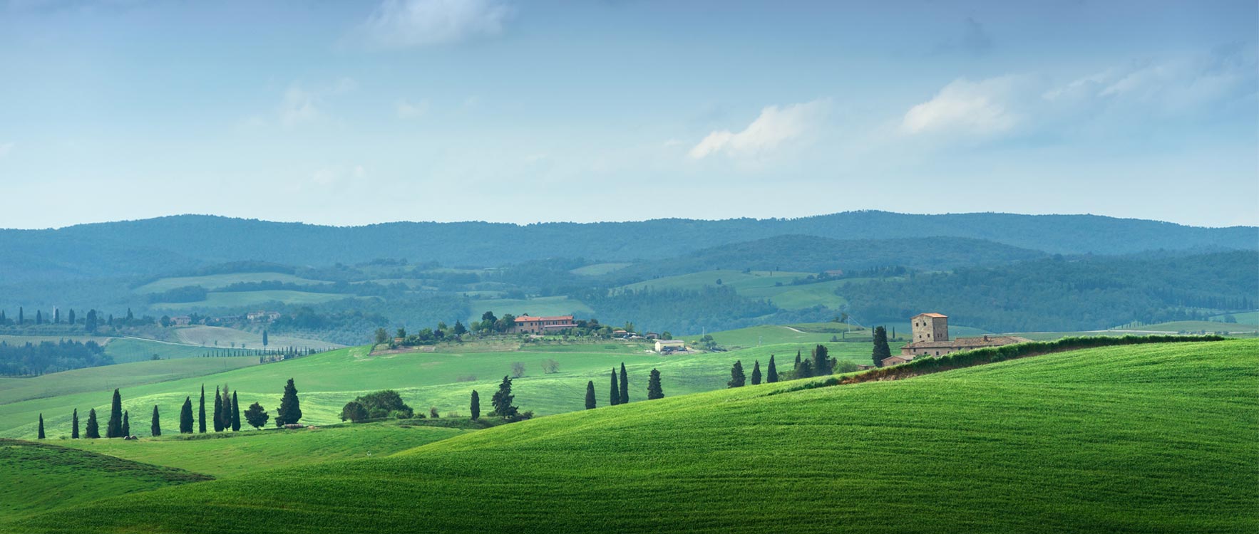 Capture features & attributes