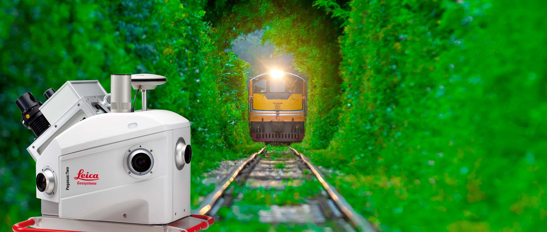 Vegetation encroachment