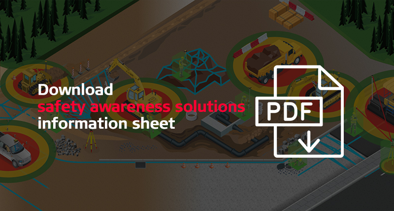 download sas information sheet