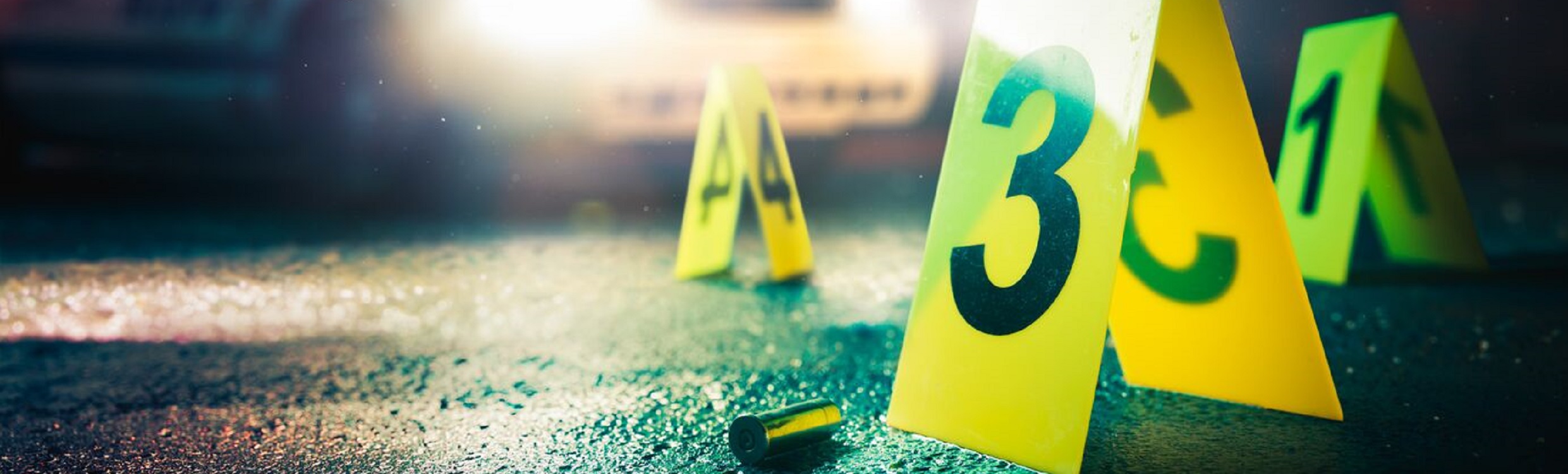 A silent witness without bias - laser scanning. 